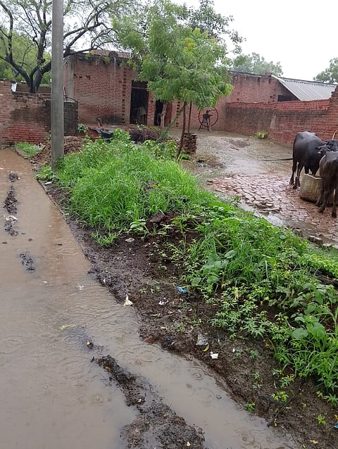 The drainage water from upper-caste households flows freely into the village pond, the drain serving the Dalit community is deliberately blocked, forcing the filth to accumulate near their homes.