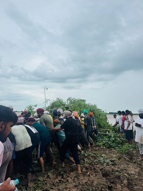 A notable trend has come to the fore that the youth of Punjab, who has been branded as "idle" and "druggy" in the past, is now turning out to be the saviour of the people.