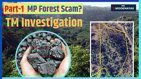 What was supposed to be a straightforward process of environmental compensation, planting trees to offset the destruction of forests, has turned into a web of deceit involving land swaps, falsified records, and administrative complicity.
