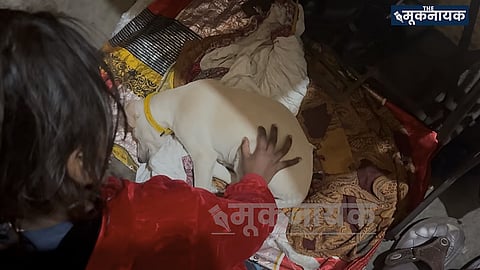 Survivor playing with her puppy, Birju