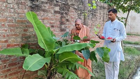 प्रकृति वंदन कार्यक्रम में मैनपुरी के स्वामी भजनानंद गोशाला में वृक्षों का किया गया पूजन