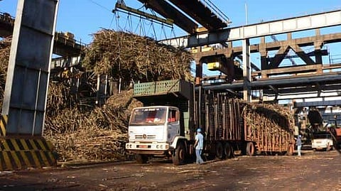 UP Issues COVID-19 Guidelines For Cane Crushing Season
