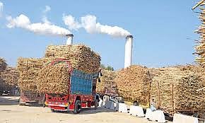 Govt To Dole Out Rs 3500 Crore To Sugar Mills To Meet Marketing Expenses