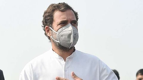 Rahul Gandhi Writes To Finance Minister, Seeks Moratorium On Repayment Of Short-term Crop Loans