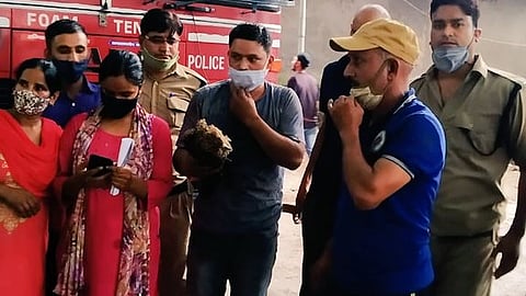 Dehradun Firemen Rescue Injured Eagle From A Tree Top, Win Hearts