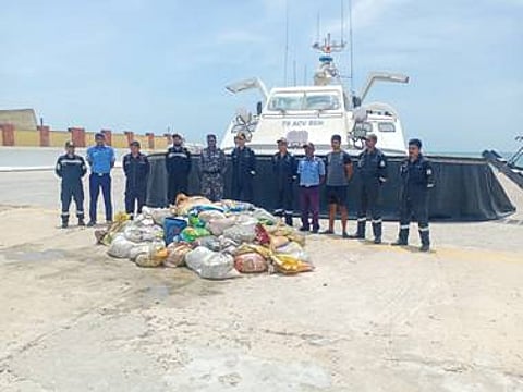 Coast Guard Seizes 2000 Kg Of Endangered Sea Cucumber Headed For Chinese Market