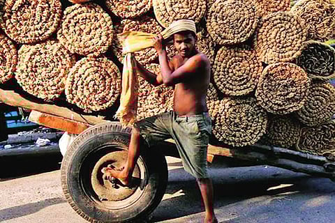 Coir Industry Proliferates, Flourishes In Non-Conventional Regions