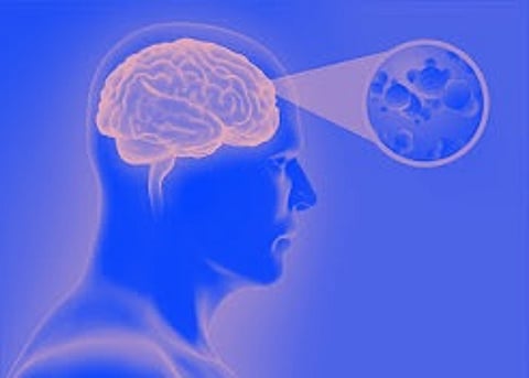 Encephalitis On Its Last Legs In Uttar Pradesh: Yogi Adityanath