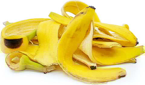 Tea And Banana Waste Used To Develop Non-toxic Activated Carbon
