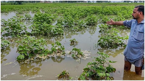 Delay In Providing Compensation To Farmers For Damaged Crops, Yogi Seeks Explanation From 17 ADMs