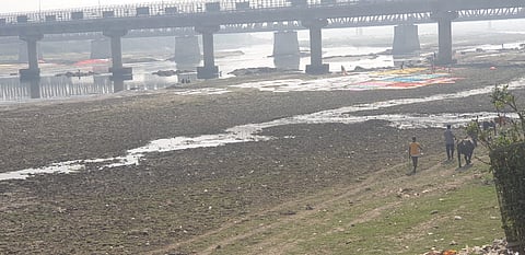 Green Activists In Agra Demand Cleaning Up Of Yamuna Before Monsoon