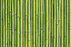 NITI Aayog Organizes National Workshop On Bamboo Development Mission