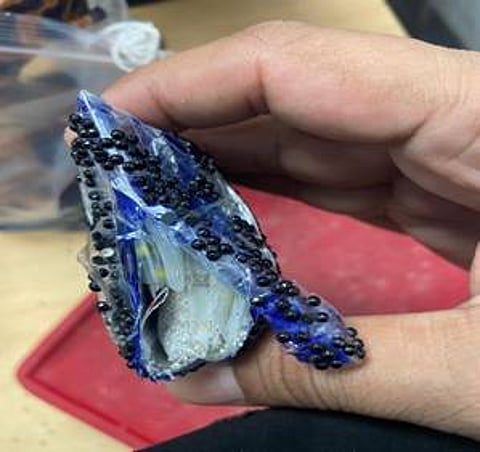 Delhi Customs Seize Outbound Undeclared Diamonds Valued At Rs. 1.56 Crore