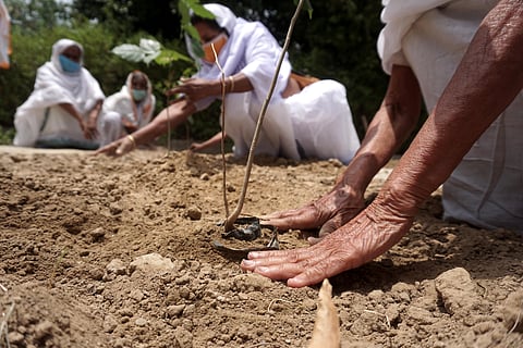 Elderly Widows Of Vrindavan Plant Saplings On International Widow’s Day