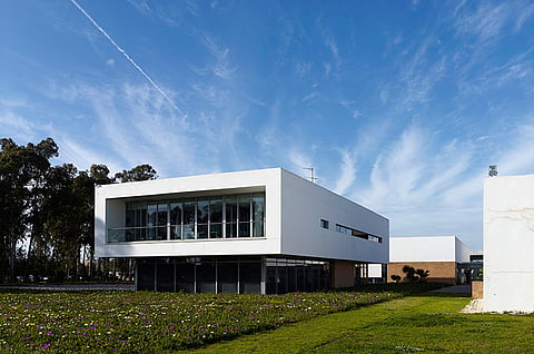 Mondial 2022: The Winners Of The Mohammed VI Academy, Symbols Of Moroccan Success