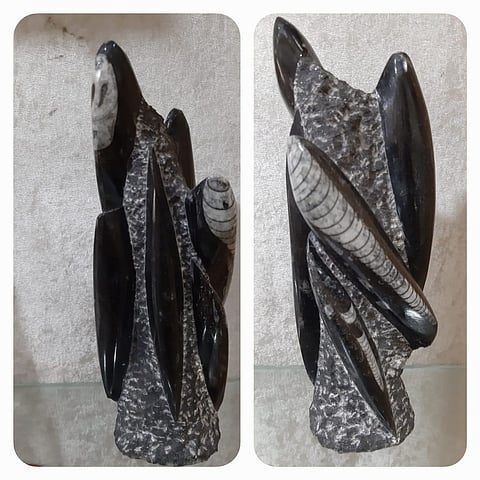 Explore the Mystic World of Gems, Jewellery, Crystals & Healing Stones: Orthoceras Or Kuber Stone