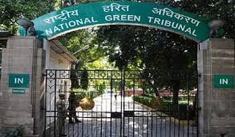 NGT Slaps Fine Of Rs 113.25 Crore On Noida-based Realtor For Violation Of Environmental Norms