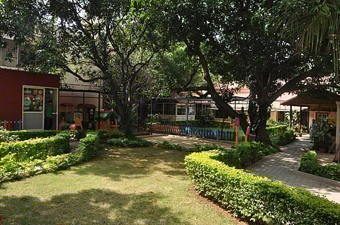 CSE’s Green Schools Programme Honours 106 Greenest Schools In India