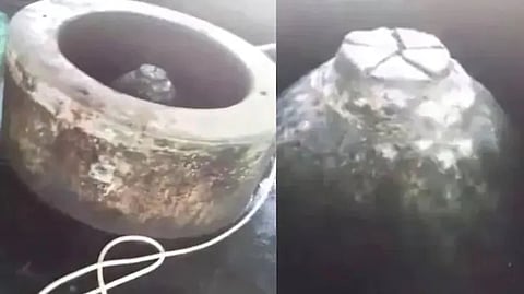 Allahabad HC Allows ASI Survey Of The Gyanvapi Complex