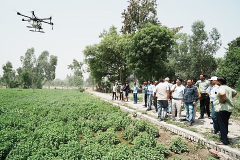 सीएसआईआर-सीमैप ने बाराबंकी के गांव भगौली सरायफूटी में एरोमा सस्टनेबल कलस्टर स्थापना की शरूआत की