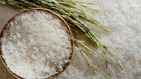 India Bans Rice Exports, Risks Rising Global Prices