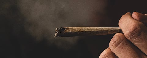 The Dark Side Of Tourism: The Impact Of Weed On Uttarakhand's Youth And Rural Communities