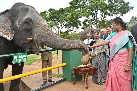 President Murmu Visits Theppakadu Elephant Camp At Mudumalai Tiger Reserve, Interacts With Mahaouts And Cadies