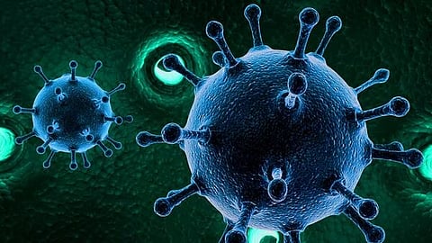 A Case Of Covid 19 Sub-Variant JN.1 Found In Kerala