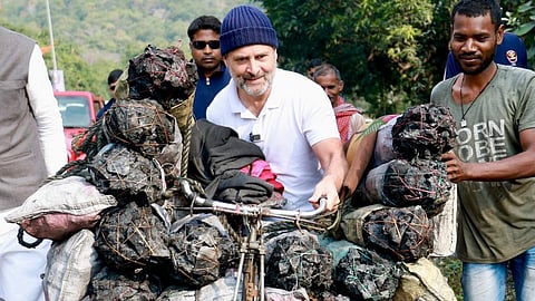 Sultanpur Court Grants Bail To Rahul Gandhi In Defamation Case