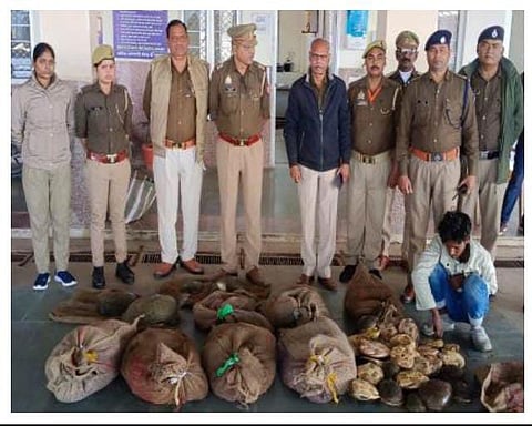 204 Live Turtles Recovered In Prayagraj, Two Smugglers Nabbed