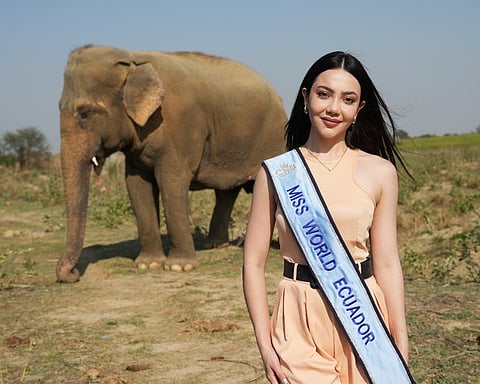 Miss World Ecuador 2024 Meets Rescued Elephants In Agra