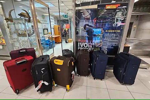 Six Indians Arrested At Bangkok Airport With 87 Smuggled Wild Animals Packed In Luggage