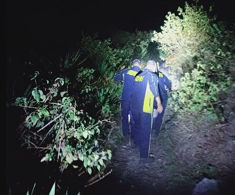 Eight Killed As Vehicle Falls In Deep Gorge In Nainital