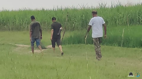 भेड़ियों के हमले से निजात: उत्तर प्रदेश में मनुष्य-वन्यजीव संघर्ष को कम करने के लिए वन्यजीव संगठन और वन विभाग एकजुट हुए!