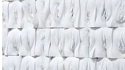The Great Wall Vulva’ mural exhibition by the British artist Jamie McCartney
