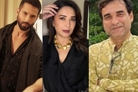 Shahid Kapoor, Madhuri Dixit, Pankaj Tripathi
