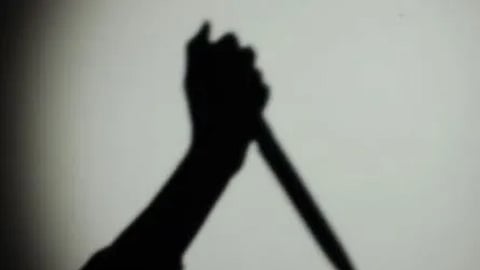 Karnataka: Wife stabs husband to death while quarrelling, arrested