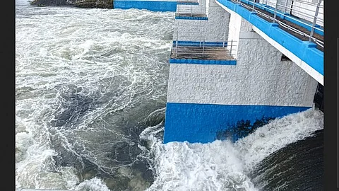 Chembarambakkam Lake 