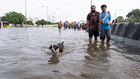 Experts link Cyclone Michaung to climate change, say Chennai will face more in future