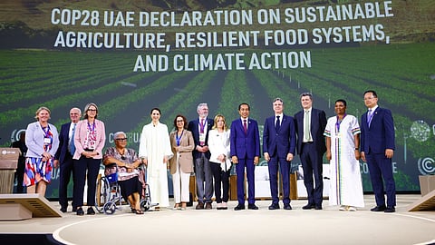 COP28 puts food systems transformation on global climate agenda.