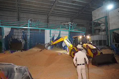 An earthmover digging through the maize