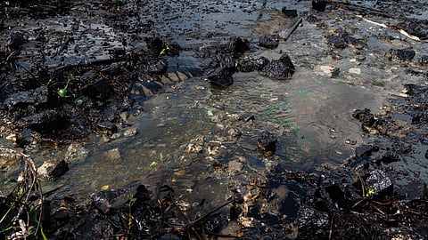Ennore creek contamination