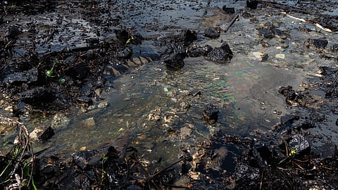 Ennore oil spill in pictures: Fisherfolk plagued by contamination, loss of livelihood
