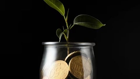 Nippon India Mutual Fund’s Mid-Cap Fund Emerges as the Best Mid-Cap Fund in 2024