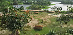 Image for Representation