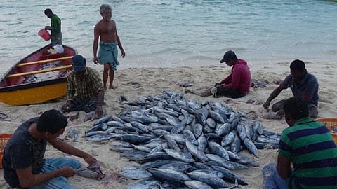 Fishers with their catch on a beach in Agatti