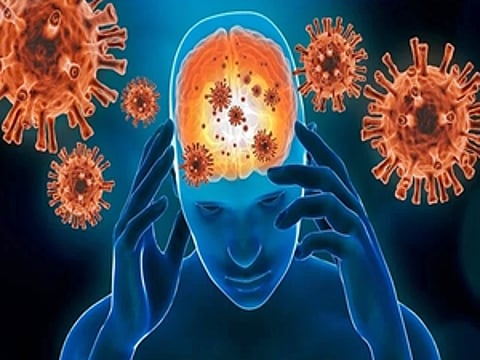148 kids affected with acute encephalitis in India, 51 Chandipura virus cases confirmed