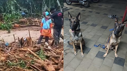 A collage of Maya during the search operation (left) and Maya & Murphy