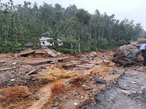 Excessive rain immediate trigger for Wayanad landslides, says GSI report