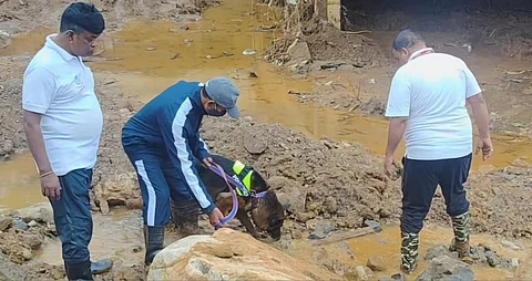 Wayanad landslides: Two more body parts recovered as search ops enter 14th day